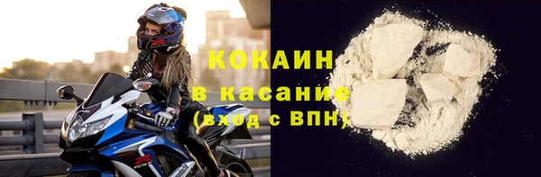 прущие грибы Волоколамск