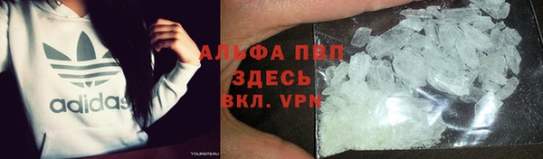 прущие грибы Волоколамск