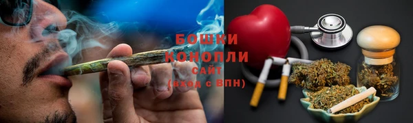 прущие грибы Волоколамск