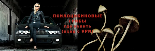 амфетамин Туринск