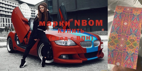 прущие грибы Волоколамск