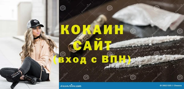 прущие грибы Волоколамск
