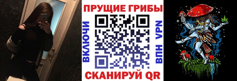 mega вход  дарк нет состав  Псилоцибиновые грибы Cubensis  цены   Назарово 